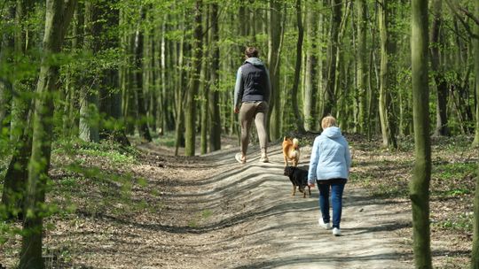 W sobotę sprzątanie lasu nad Zalewem Zemborzyckim