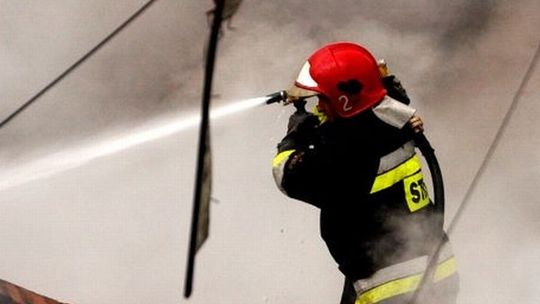 W spalonej altance działkowej strażacy znaleźli zwłoki