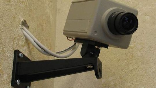  W Toruniu startuje domowy Big Brother