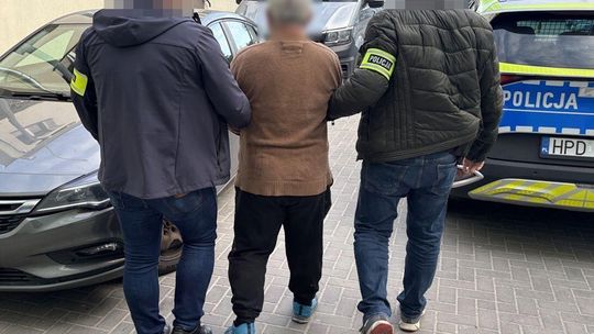 W tunelu zamiast pomidorów marihuana. Nielegalna plantacja zlikwidowana
