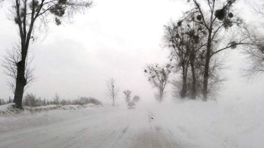 W tych szkołach odwołano lekcje z powodu zaśnieżonych dróg (LISTA)