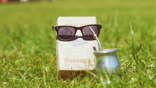 W tym szaleństwie jest metoda – 3 sposoby na Yerba Mate