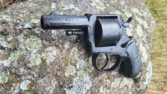 W ulu zamiast pszczół był rewolwer 