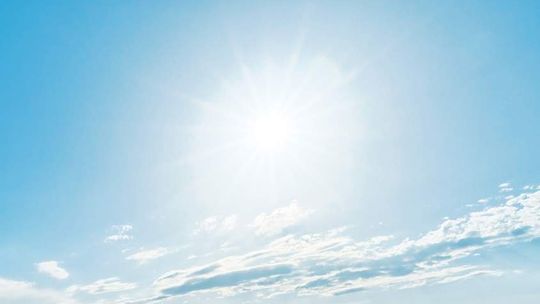 W upale zamknęła psa w samochodzie i poszła na zakupy