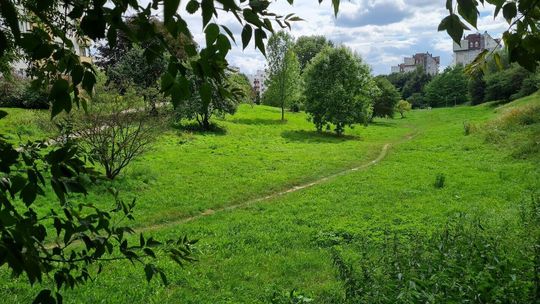W wąwozie na Czechowie powstanie miejski sad