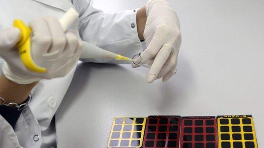 Wąglik zaatakował konie w gm. Rachanie. Bakterie mogły być w ziemi