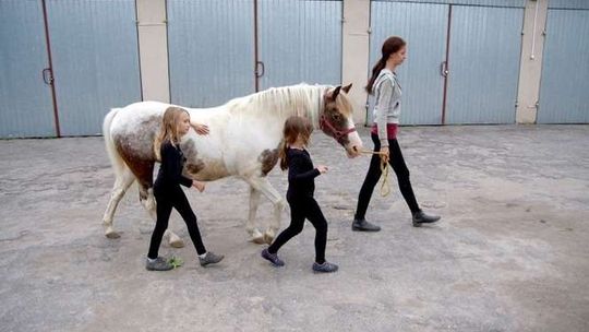 Wakacje mijają galopująco i kłusem (zdjęcia)