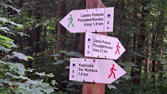 Wakacyjny przewodnik Dziennika. Wszystkie drogi prowadzą do św. Romana