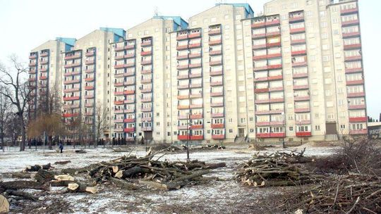 Walecznych: Obrońcy drzew chcą iść do sądu