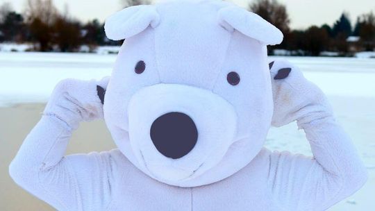 Walentynki w Chełmie z Misiem Chełmisiem