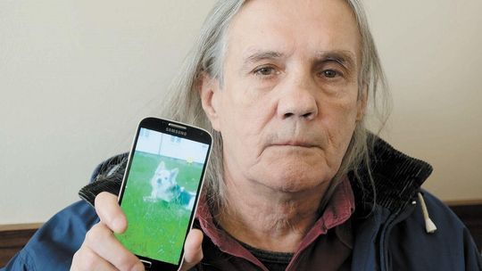 Walka o Kajtka skończy się w sądzie? Właściciel psa kontra stowarzyszenie