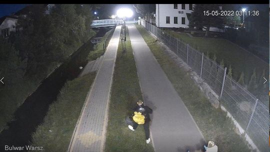 Wandal zniszczył drzewko i ośmieszył się w internecie. A do tego złapała go policja 