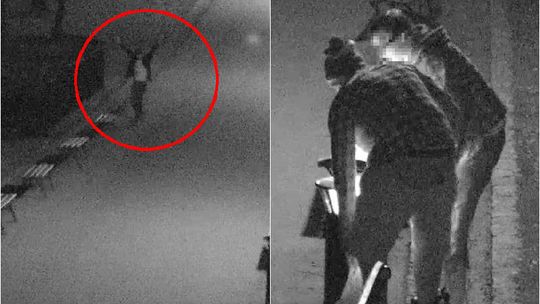 Wandale w Ogrodzie Saskim. Wpadli dzięki kamerom