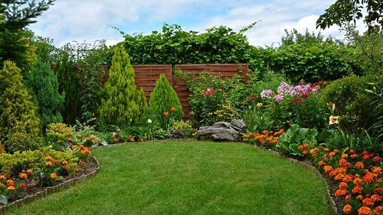 Wapno do trawnika: jak poprawia kondycję murawy i kiedy warto je stosować?