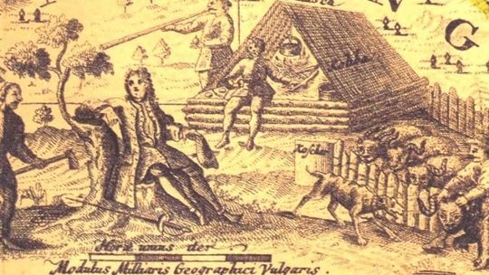 Warianka z Pułankowic