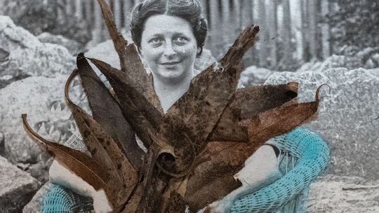 Warszawianka w Ratuszu, dziedzictwo Olędrów na zdjęciach