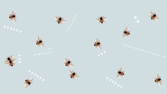 Warsztaty animacji z Warsztatami Kultury