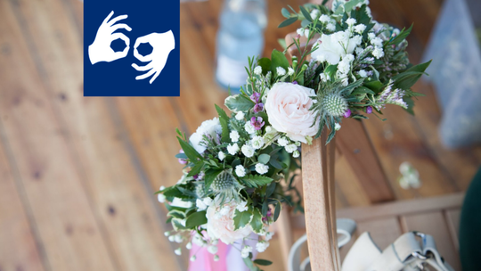 Warsztaty Kultury online: harmonogram na najbliższe dni