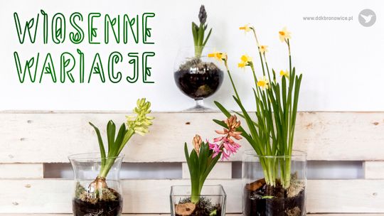 Warsztaty tworzenia wiosennych ozdób