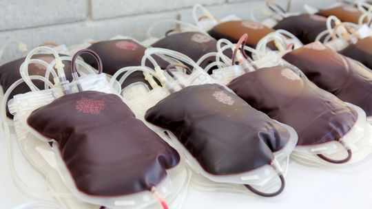 Warto oddać krew. Autokar RCKiK już w trasie