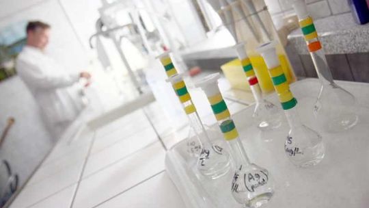 Warto wiedzieć, co się pije