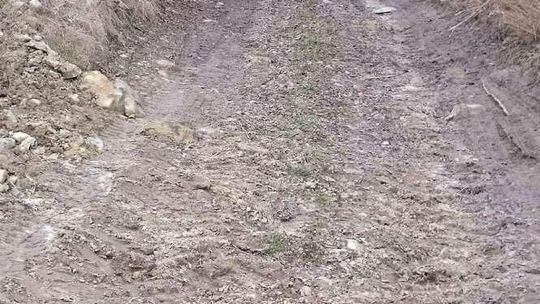 Wąwolnica: Uratują wąwóz, będzie przejezdny 