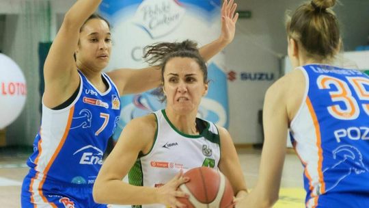 Ważne spotkanie dla układu tabeli. Pszczółka Polski Cukier zagra z VBW Arką Gdynia