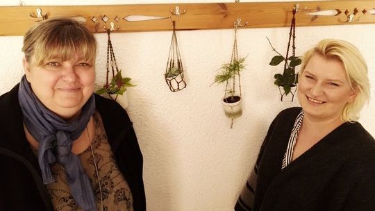 Wchodzisz z paprotką, wychodzisz z kaktusem. W niedzielę pierwsza Lubelska Wymiana Roślin