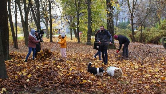 We Włodawie już są. Ty też możesz zrobić schronienie dla jeża