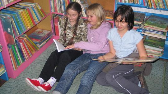 We Włodawie może powstać społeczny punkt biblioteczny 