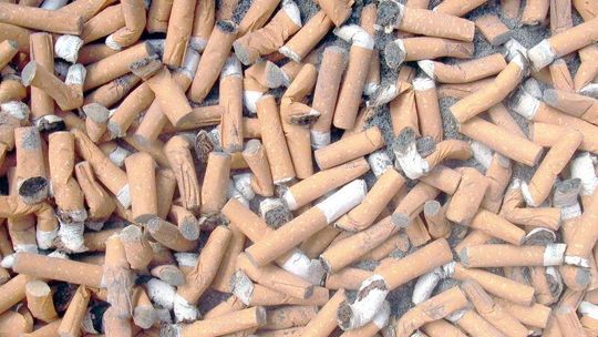 Wędzonka z barmana, czyli petujemy, aż się kurzy