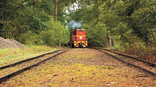 Weekend majowy 2019. Nadwiślańska Kolejka Wąskotorowa gotowa do drogi