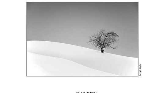 Wernisaż dorocznej wystawy fotograficznej