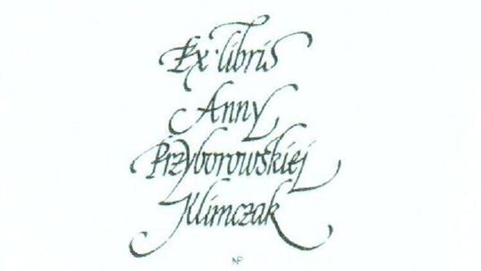 Wernisaż Piotra Nakoniecznego w Galerii OKNA