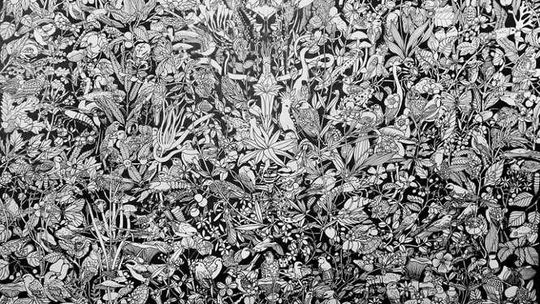 Wernisaż wystawy „Dużo Rysunków”