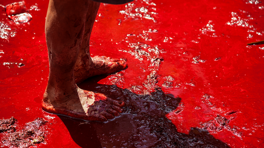 Wernisaż wystawy "Matahari (Oko Dnia)" w Galerii Białej