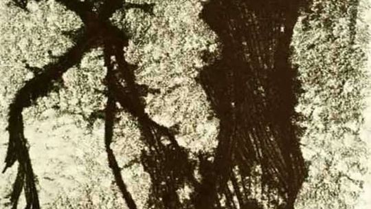 Wernisaż wystawy Zbigniewa Pieleszka w Nałęczowie