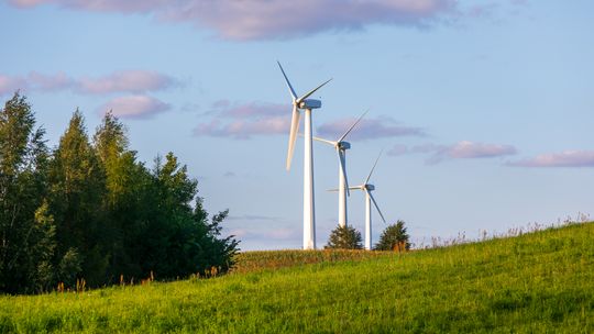 Wiatr na lądzie napędza polski przemysł - buduje krajowy łańcuch dostaw i wzmacnia lokalną gospodarkę