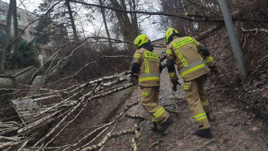 Wiatr powieje dłużej. Jest kolejne ostrzeżenie pogodowe dla Lubelskiego
