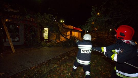 Wichura na Pomorzu. Drzewa łamały się jak zapałki (zdjęcia)