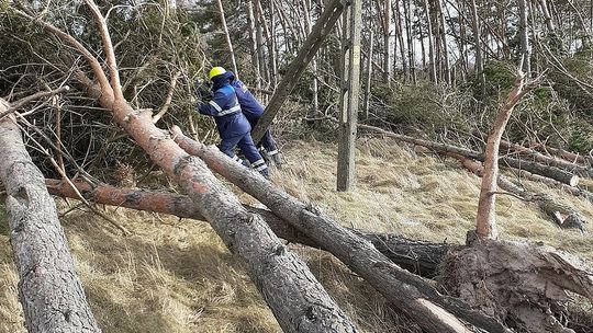 Wichura w Lubelskiem. Gdzie są problemy z dostawami prądu? [najnowszy raport]