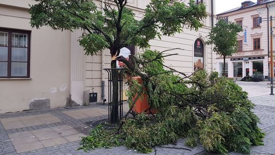 Wichury w woj. lubelskim. Ponad 500 interwencji, 13 tys. osób bez prądu [zdjęcia]