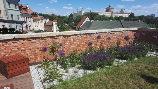 Widać efekty zielonego budżetu w Lublinie. Gdzie znajdziemy nowe skwery?