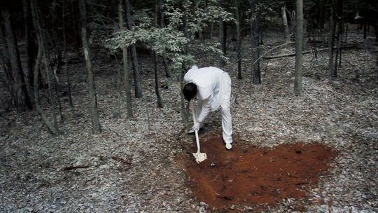 Wideo i sztuka zawłaszczenia