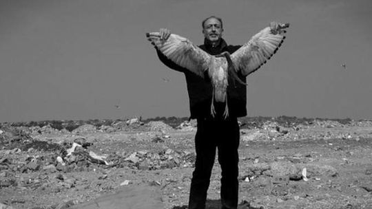 Wideo THE 02. Przegląd filmów w Galerii Labirynt