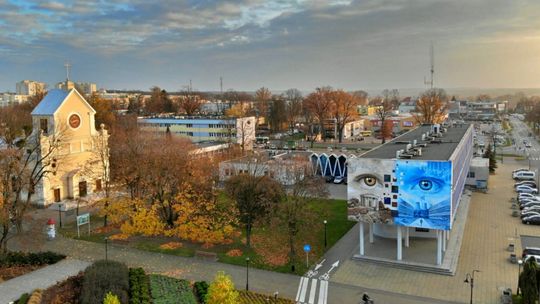 Więcej ławek, mural i pawie figurki. Obywatelskie projekty wybrane
