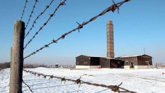 Więcej turystów na Majdanku w ubiegłym roku. O 6 tysięcy