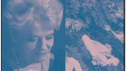 Wieczne Czytanie na Węglinie: Anna Świerszczyńska