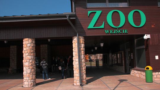 Wieczór marzeń w Zoo w Zamościu