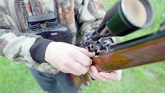 Wielka czystka w Państwowej Straży Łowieckiej w Lublinie
